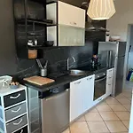 Apartament Violic